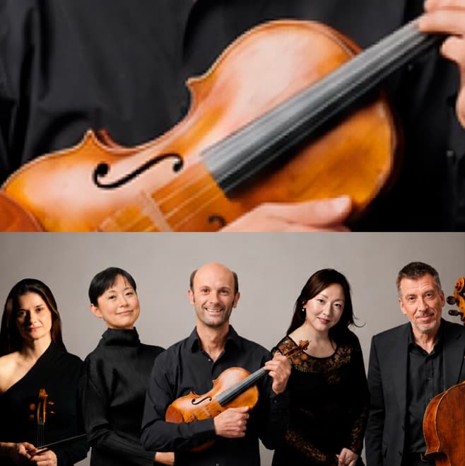 Viola FEST 2026