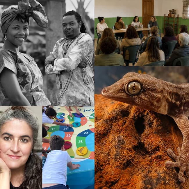 Workshops and Activities – Festival Taganana 2026