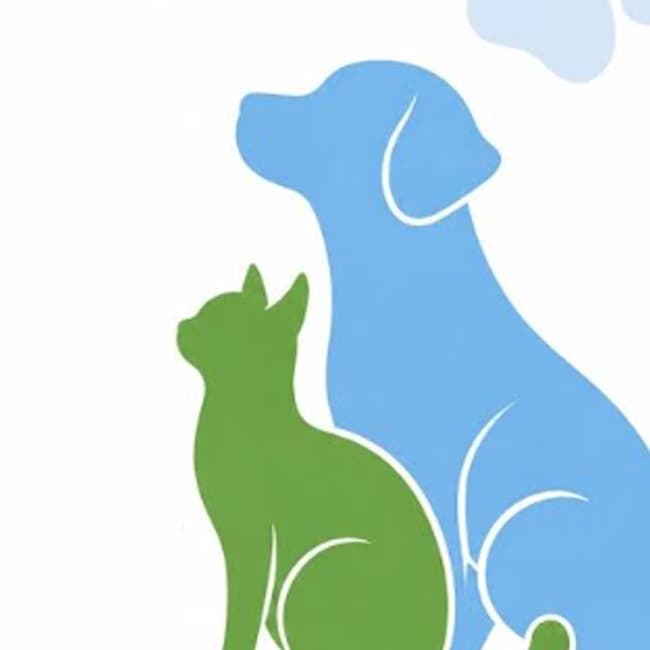 Evento solidario de animales